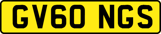 GV60NGS