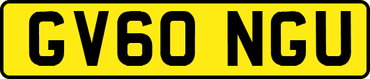 GV60NGU