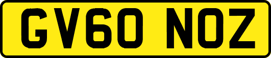 GV60NOZ