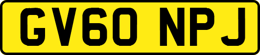 GV60NPJ