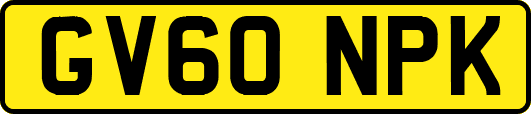 GV60NPK