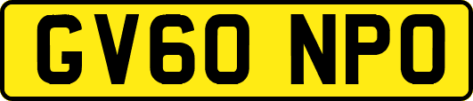 GV60NPO
