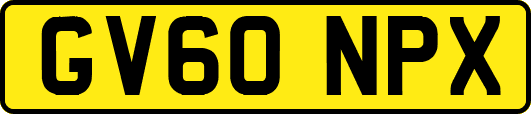 GV60NPX