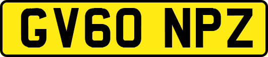 GV60NPZ