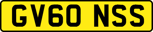 GV60NSS