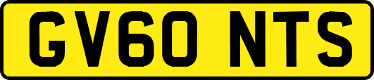 GV60NTS