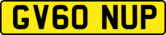 GV60NUP