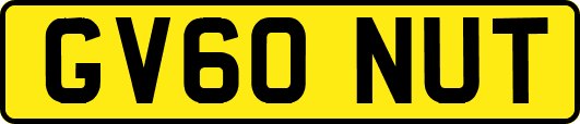 GV60NUT