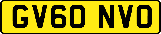 GV60NVO