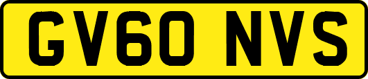 GV60NVS