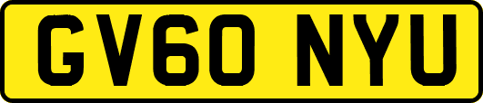 GV60NYU