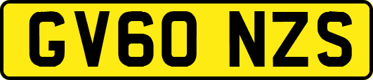 GV60NZS