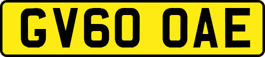 GV60OAE