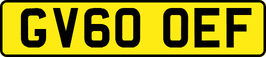 GV60OEF