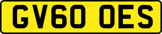 GV60OES