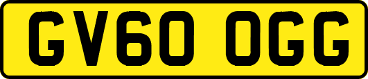 GV60OGG