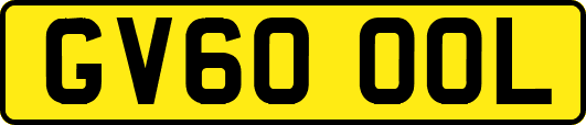 GV60OOL