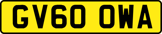 GV60OWA