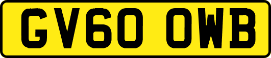 GV60OWB