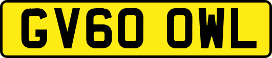 GV60OWL