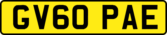 GV60PAE
