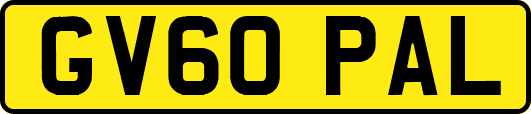 GV60PAL