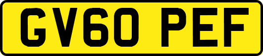 GV60PEF