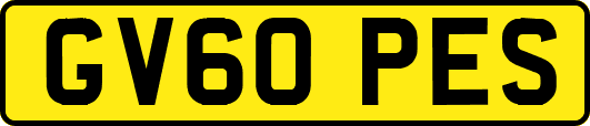 GV60PES