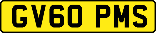 GV60PMS