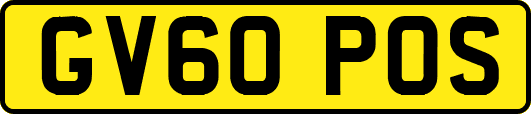 GV60POS