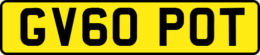 GV60POT
