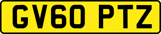 GV60PTZ