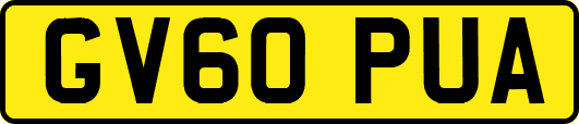 GV60PUA