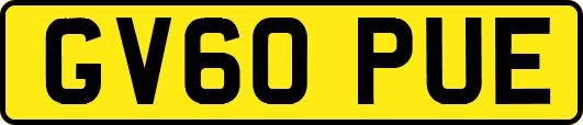 GV60PUE