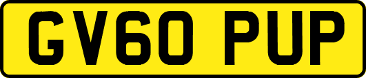 GV60PUP