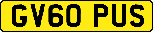 GV60PUS