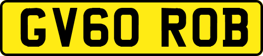 GV60ROB