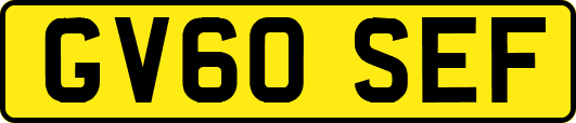 GV60SEF