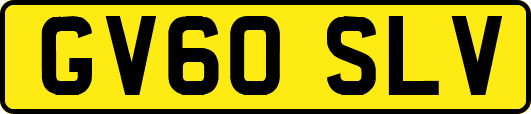 GV60SLV