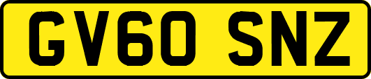 GV60SNZ