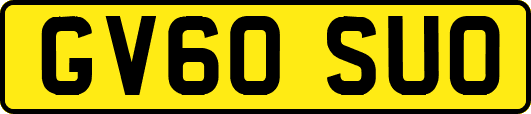 GV60SUO