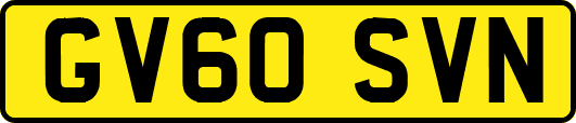 GV60SVN