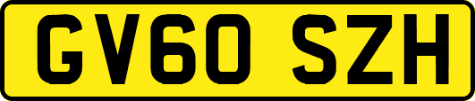 GV60SZH