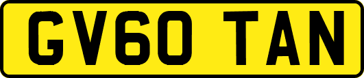 GV60TAN