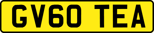 GV60TEA