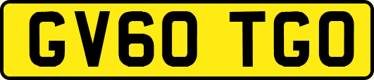 GV60TGO