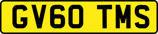 GV60TMS