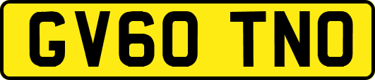 GV60TNO
