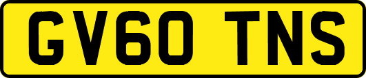 GV60TNS