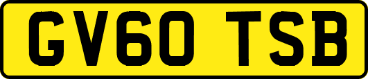 GV60TSB